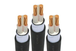 Cáp Điện Lực Hạ Thế: CVV/DSTA - CXV/DSTA - 0,6/1 kV - Cáp Ngầm 2 Ruột Đồng Giáp Băng Thép