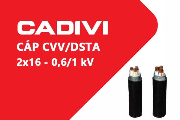 Cáp Điện Lực Hạ Thế: CVV/DSTA 2x16 - 0,6/1 kV - Cáp Ngầm 2 Ruột Đồng Giáp Băng Thép