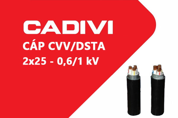 Cáp Điện Lực Hạ Thế: CVV/DSTA 2x25 - 0,6/1 kV - Cáp Ngầm 2 Ruột Đồng Giáp Băng Thép