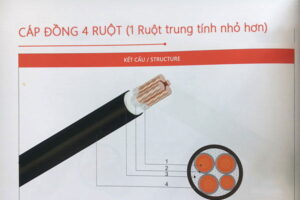 Cáp Điện Lực Hạ Thế CVV/DSTA & CXV/DSTA 3 Lõi Pha + Trung Tính - Cáp Ngầm Giáp Băng Thép