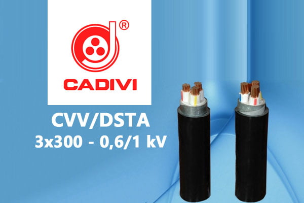 Cáp Điện Lực Hạ Thế: CVV/DSTA 3x300 - 0,6/1 kV - Cáp Ngầm 2 Ruột Đồng Giáp Băng Thép