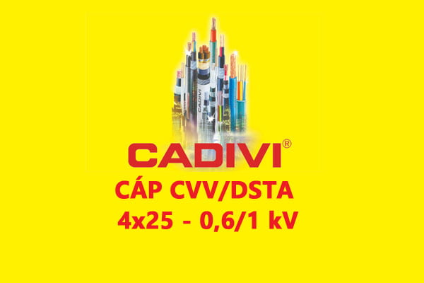 Cáp Điện Lực Hạ Thế: CVV/DSTA 4x25 - 0,6/1 kV - Cáp Ngầm 2 Ruột Đồng Giáp Băng Thép