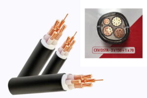 Giá Dây Cáp Hạ Thế CADIVI: CXV/DSTA 3x150+1x70 - 0,6/1 kV