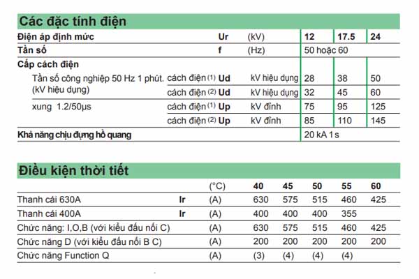 Thông số kỹ thuật tủ RMU Schneider RM6