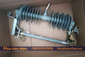 Cập Nhật Giá: Cầu Chì Cắt Có Tải LBFCO 100A 27kV - Hãng DTR/Korea