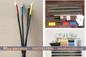 Đầu cáp co nhiệt TTE hạ thế HST