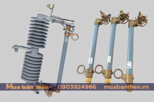 Cầu chì tự rơi Vina Electric FCO