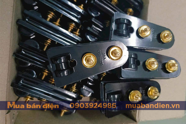 Cầu chì cá - Cầu chì trời