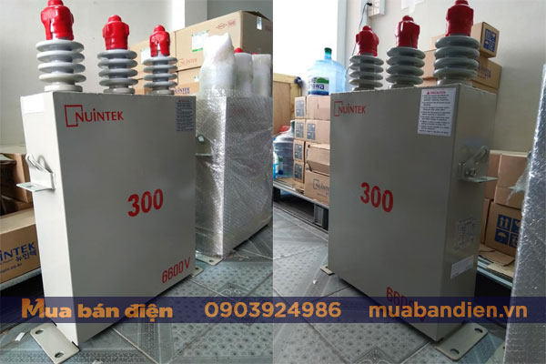 Tụ bù trung thế Nuintek 300kvar 6600V